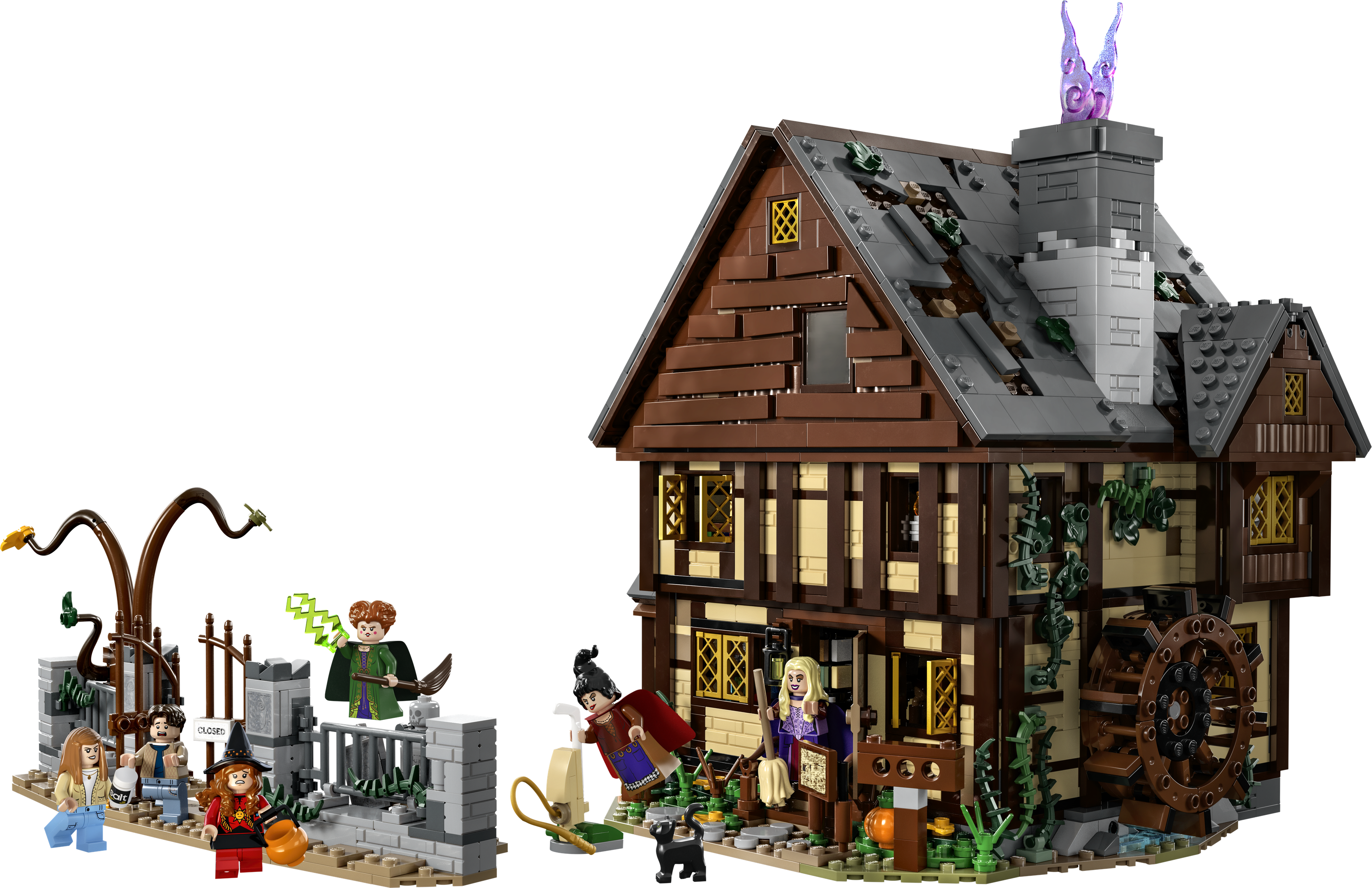 Set 21341 Hocus Pocus