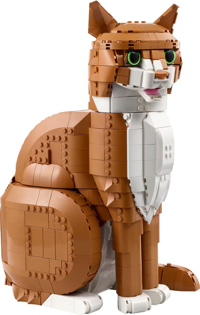Set 21376 Orange Cat