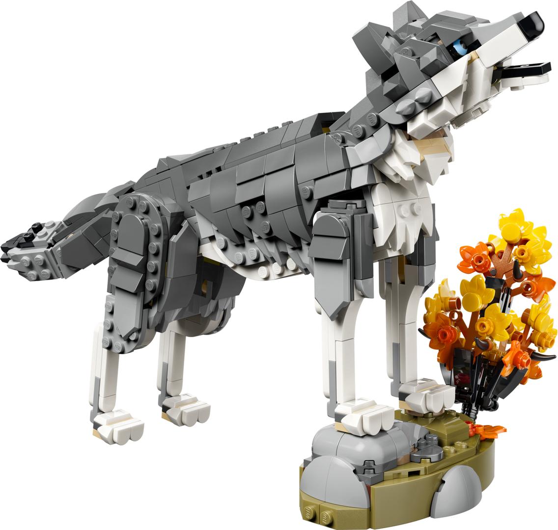 Set 31393 Forest Animals: Gray Wolf
