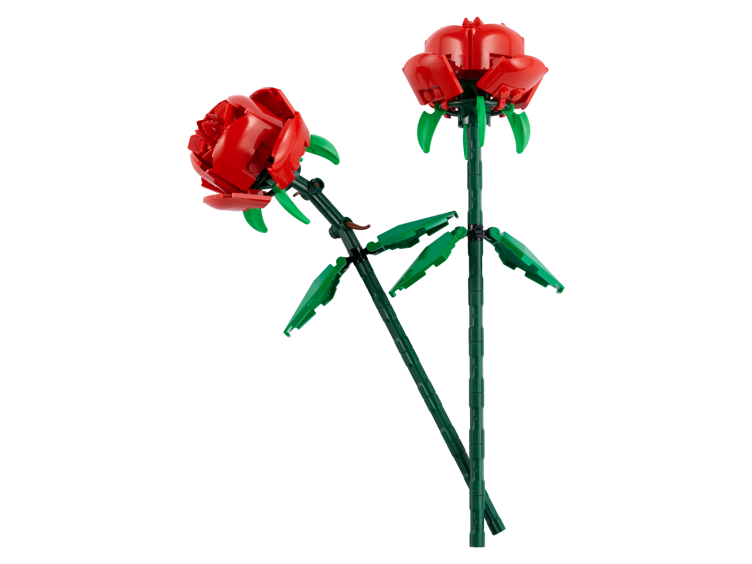 Set 40460 Rosen
