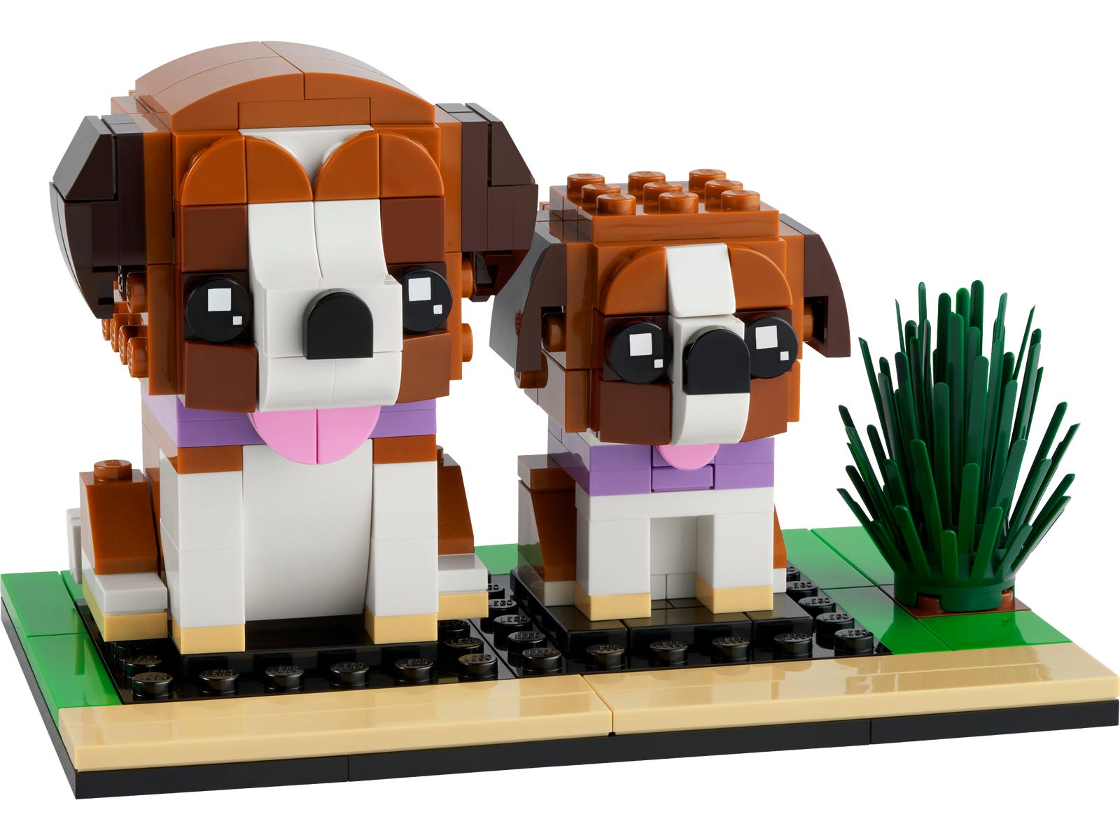 Set 40543 St. Bernard