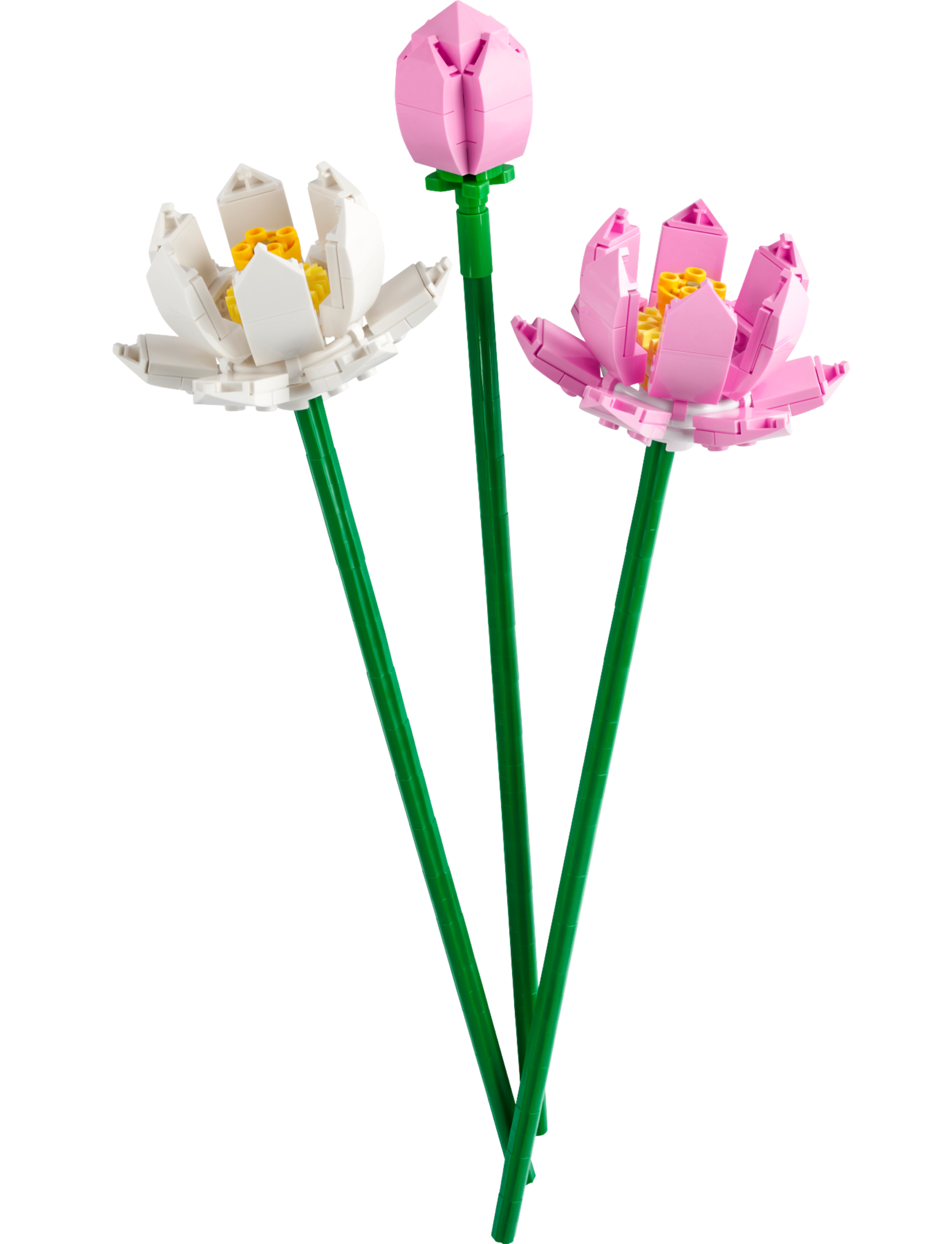 Set 40647 Lotus Flowers