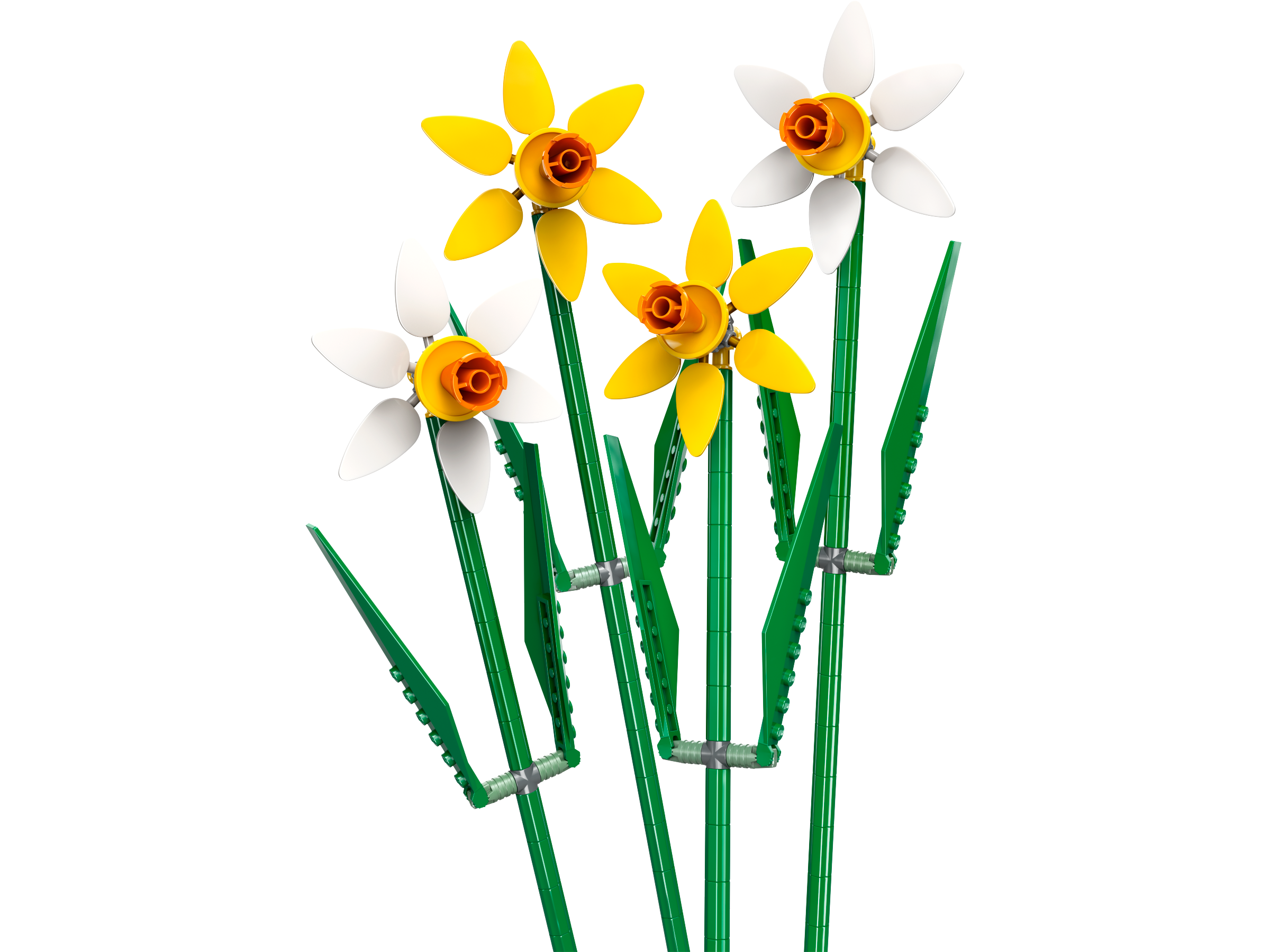 Set 40747 Daffodils