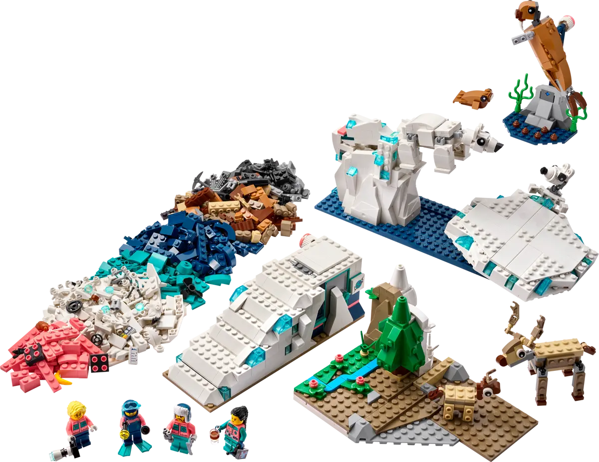 Set 45203 Arctic Animals Science Kit