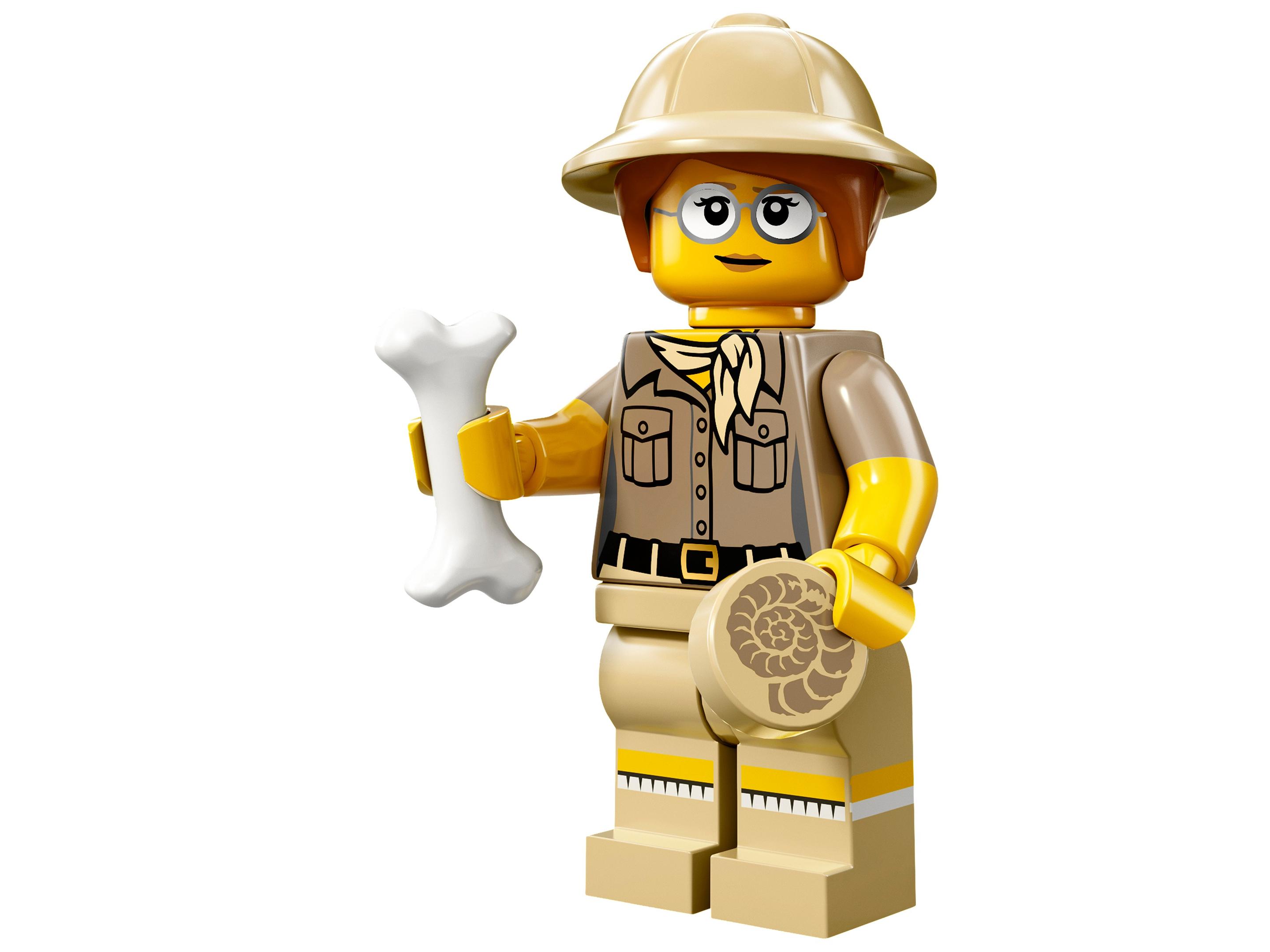 Set 71008-6 Paleontologist