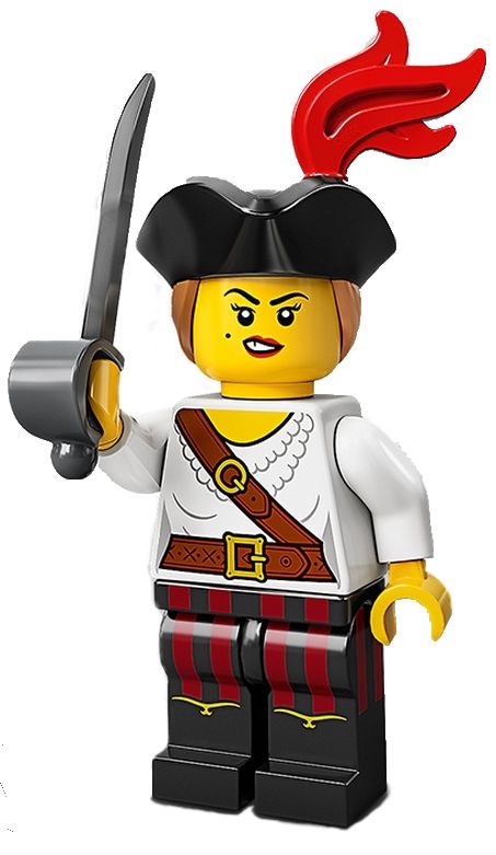 Set 71027-5 Pirate Girl