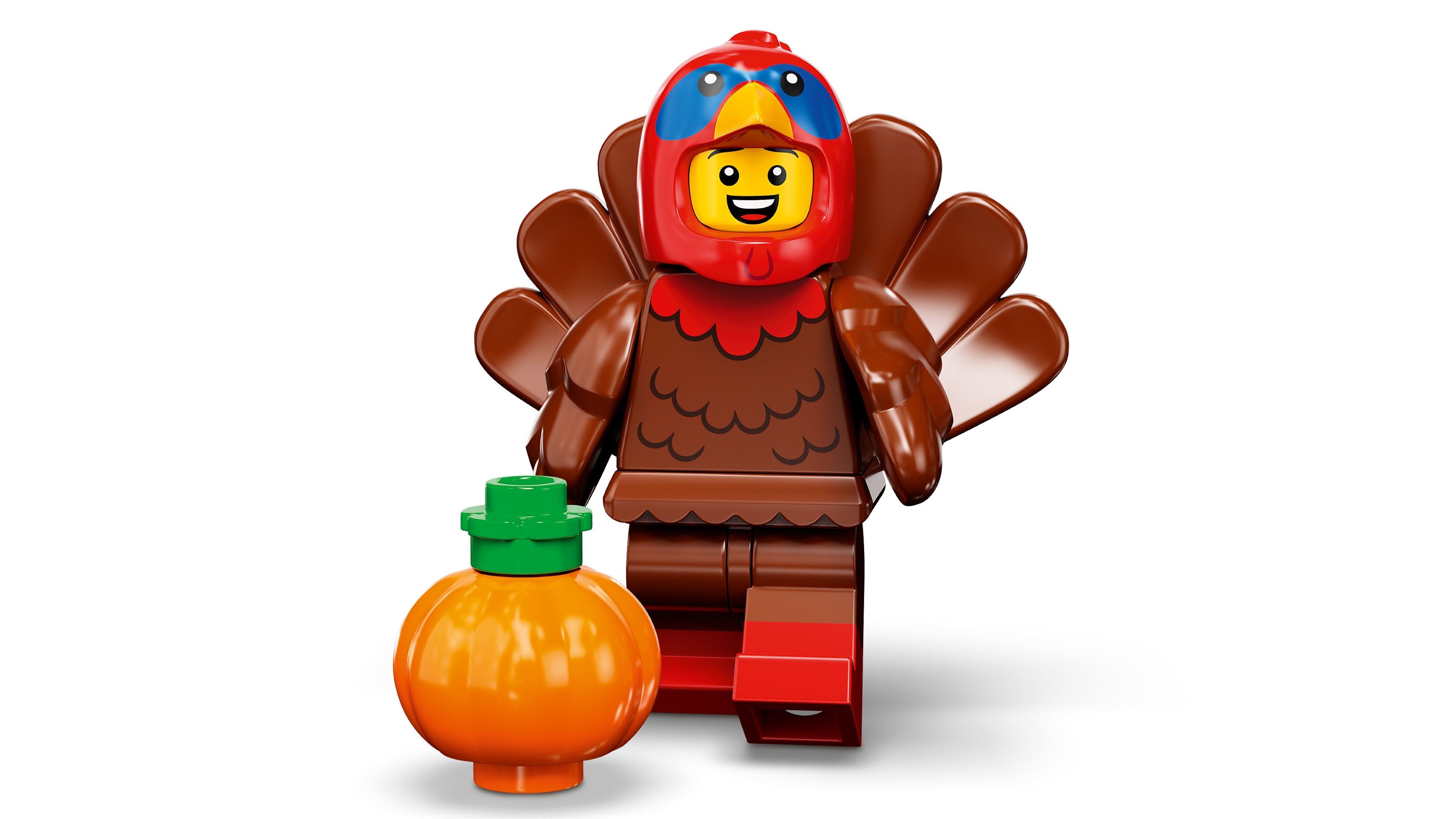 Set 71034-9 Turkey Costume