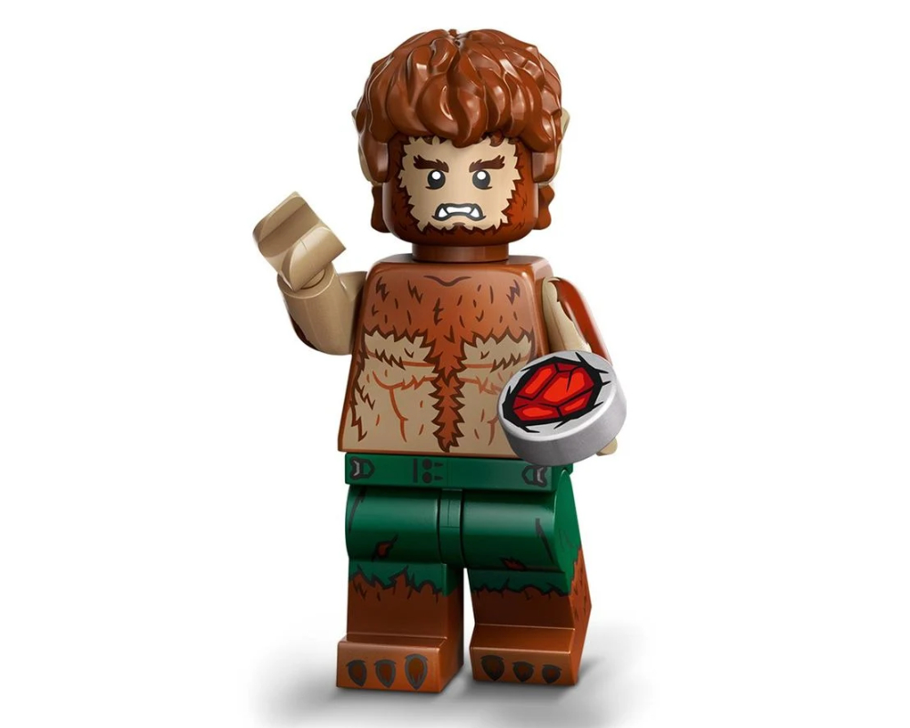 Set 71039-4 The Werewolf