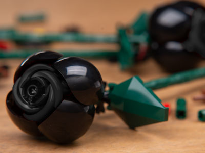 Set EG00151 2x Schwarze Rosen