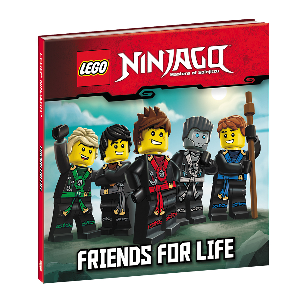 Set LFP701 Ninjago: Friends for Life
